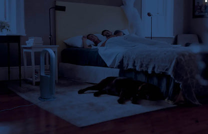 Kogan Smarterhome™ Bladeless Purifier Fan Heater