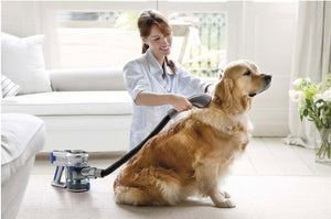 Kogan MX Series Cordless Stick Vacuum Pet Grooming Tool