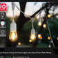 Outdoor Festoon String Christmas Lights with LED Filament Bulb (Black  20m)