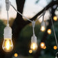 Outdoor Festoon String Christmas Lights with LED Filament Bulb (Black  20m)