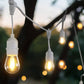 Outdoor Festoon String Christmas Lights with LED Filament Bulb (White 20m)