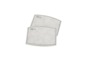 Washable & Reusable PM2.5 Face Mask With Respirator (2Mask, 8 filters)