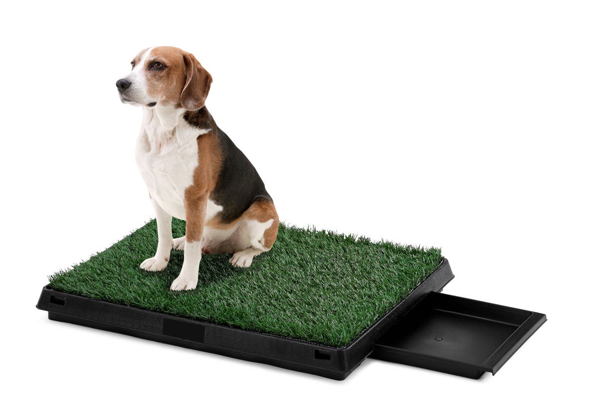 Pawever Pets Portable Potty Pad