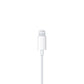 Apple EarPods with Lightning Connector