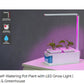 Certa Self-Watering Pot Plant with LED Grow Light