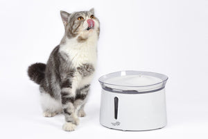 Pawever Pets 2L/21.6cm Triple Filter Water Fountain - White