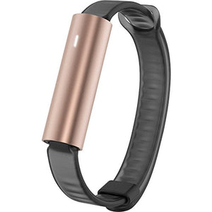 Misfit Ray Leather Band Fitness And Sleep Monitor - Rose Gold / Grey