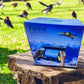 Parrot Bebop Drone with Skycontroller (Yellow) - Refurbished Electronics at Tydi NZ