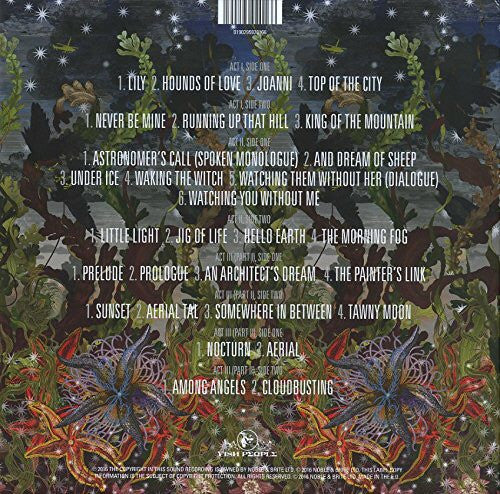 The KT Fellowship, Kate Bush – Before The Dawn