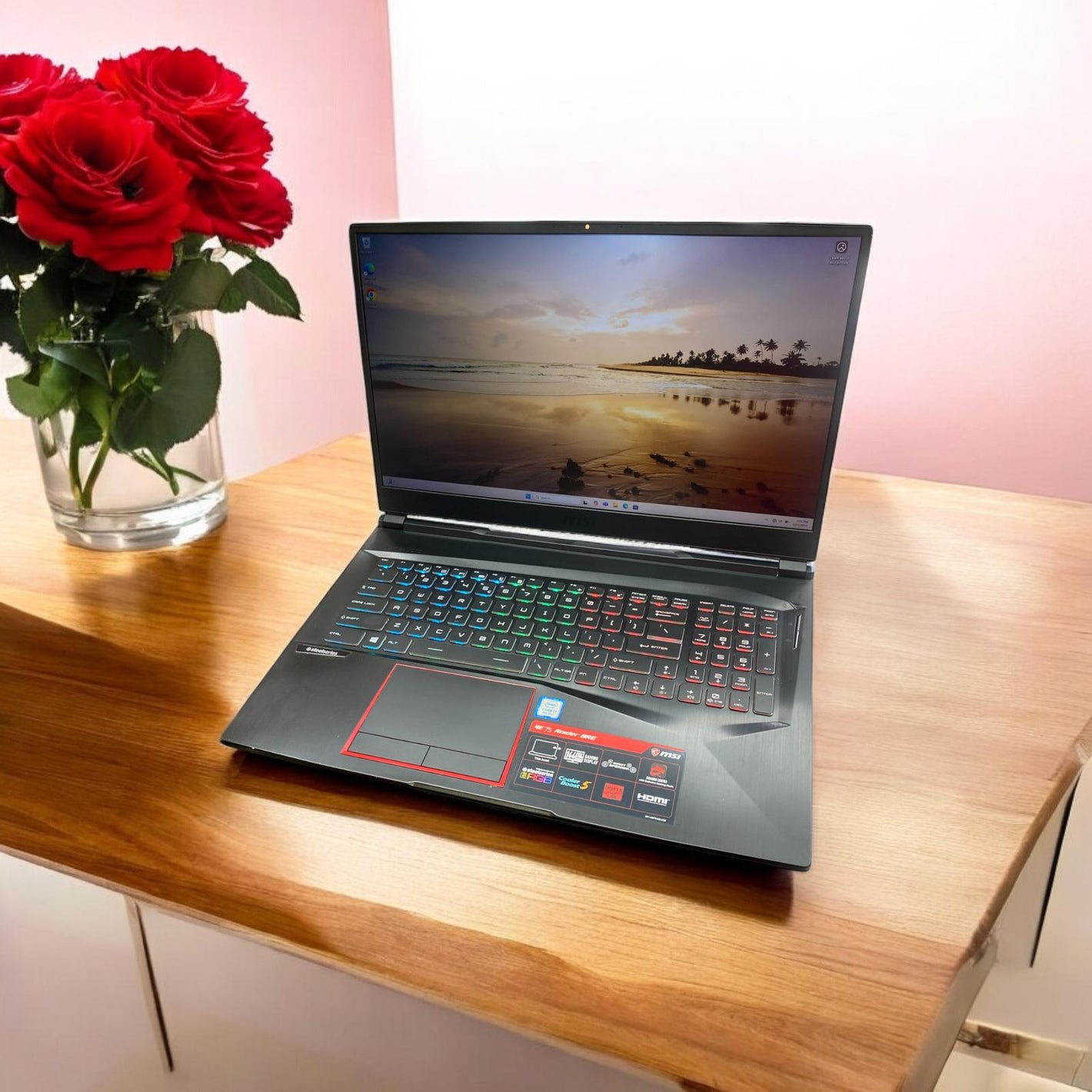 MSI Gaming Laptop 17.3” Intel i7-9750H 16GB RAM 512GB RTX 2070 Win11