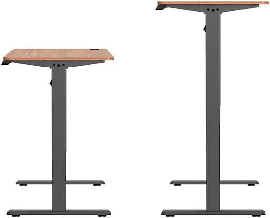 Ergolux Electric Standing Desk 120 x 60cm (Walnut/Black) - ELESTNDSKNA