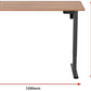 Ergolux Electric Standing Desk 120 x 60cm (Walnut/Black) - ELESTNDSKNA