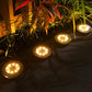 Solar Powered LED Garden Outdoor Path Lights (12 Pack)