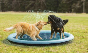 Pawever Pets Sprinkler Mat Large