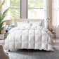 ZUNI Goose Feather Down Comforter Queen Size