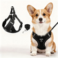 Dog harness - Black