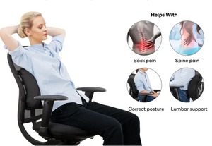 Ergolux Lumbar Support Back Cushion (Black)