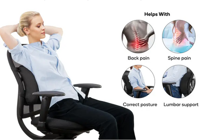 Ergolux Lumbar Support Back Cushion (Black)